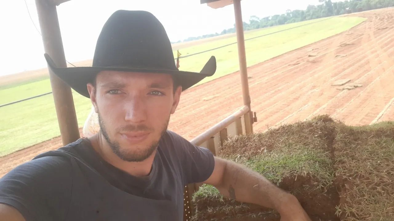 Grama esmeralda  - Foto 5