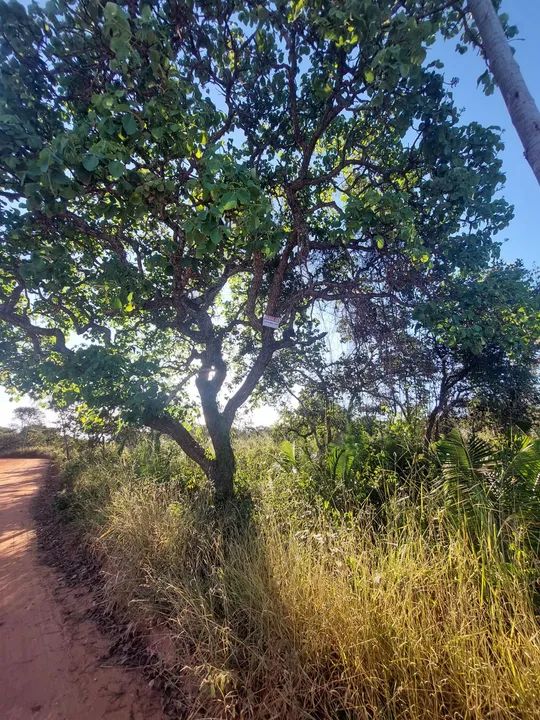 foto - Montes Claros - Maracanã