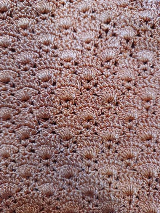 Blusa Feminina de Crochê em Linha Marrom - Foto 2