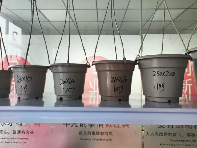 Moldes para injeção - diversos formatos de vasos para plantas