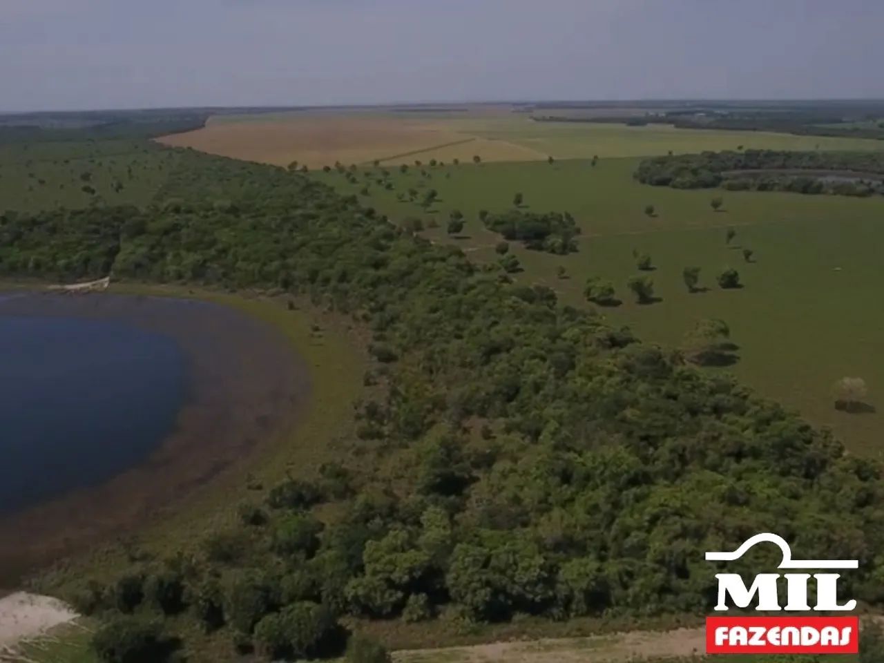 Fazenda de 93 alqueires (448 hectares) em Araguaiana - MT - Foto 4