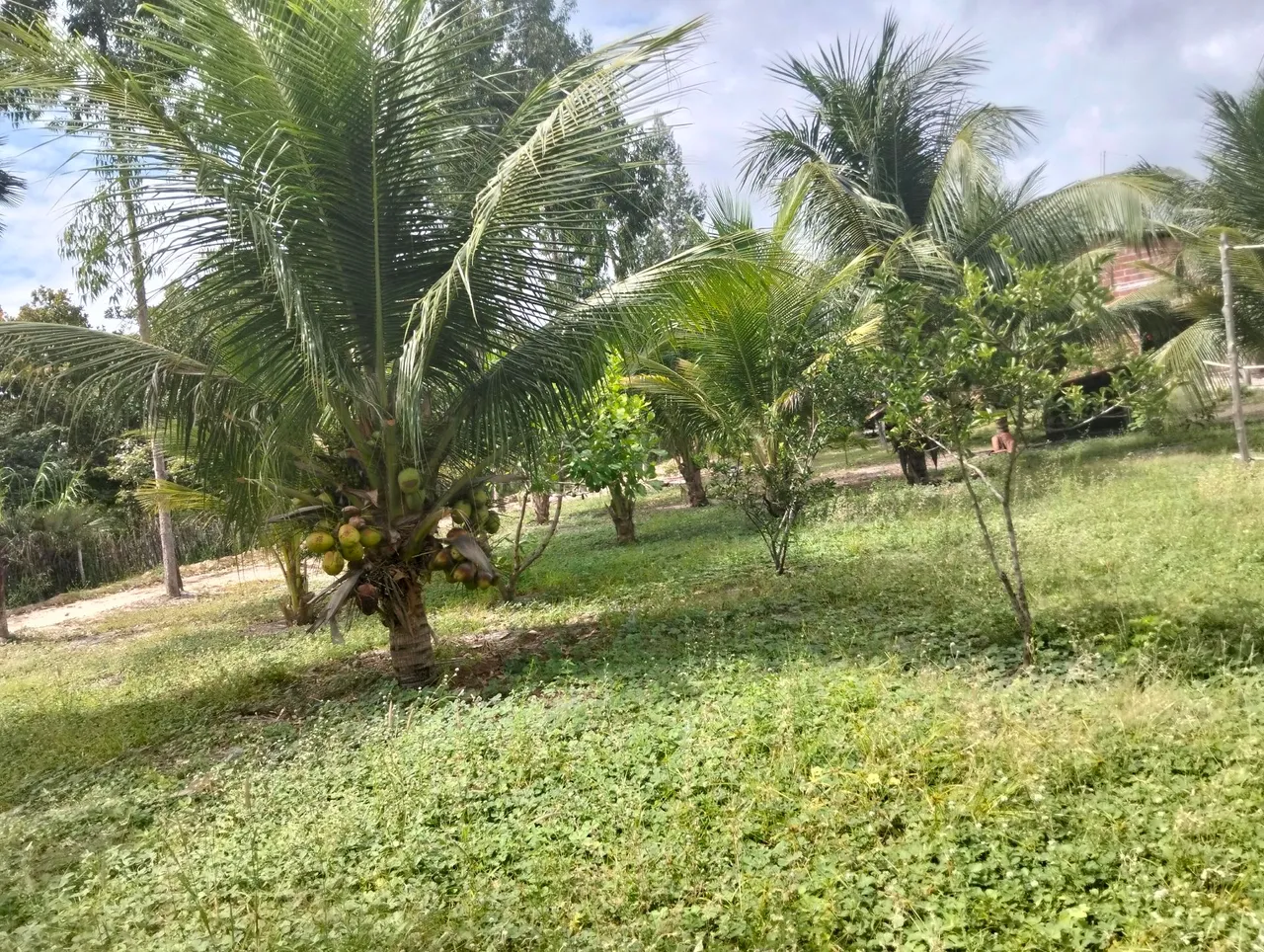 Oportunidade única terreno de 26 hectares todo pronto para morar.