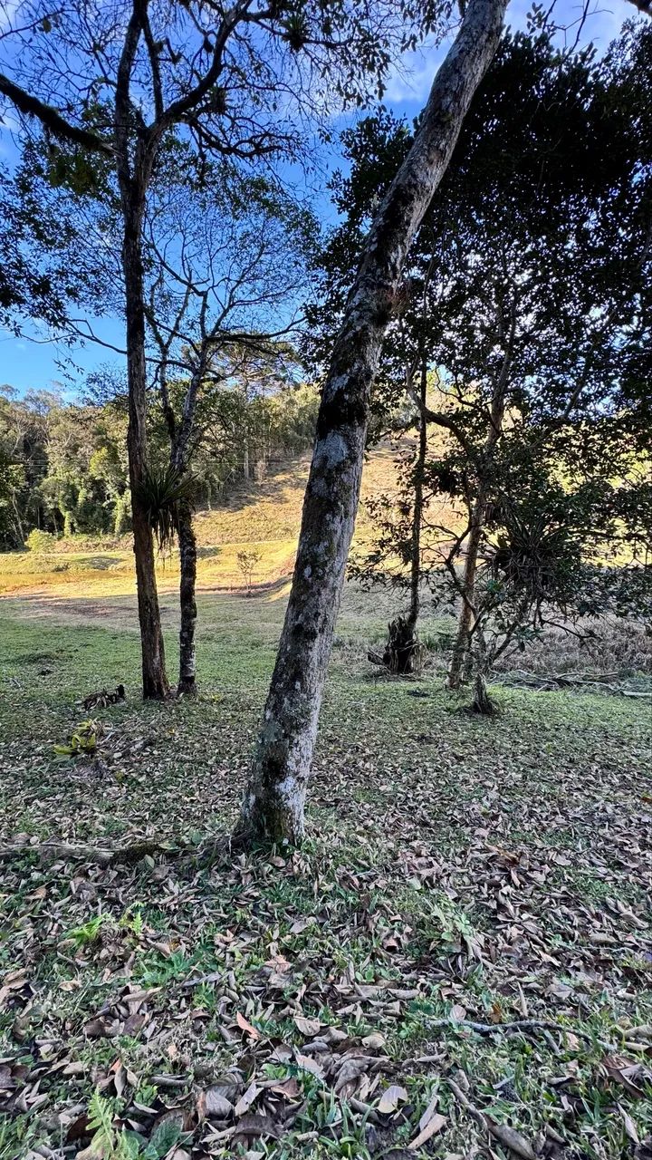 Chácara R$35.000 - Foto 6