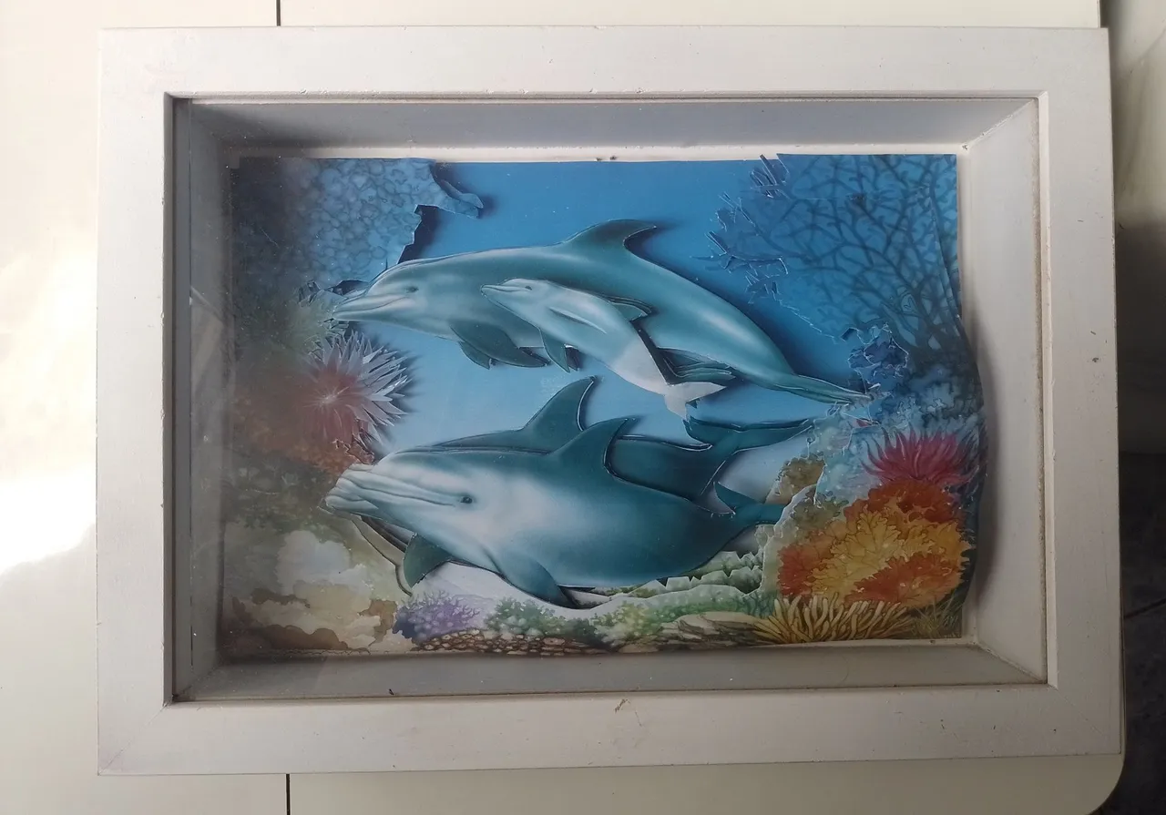 Quadro caixa alta Tam pequeno de Golfinhos em Ambiente Marinho