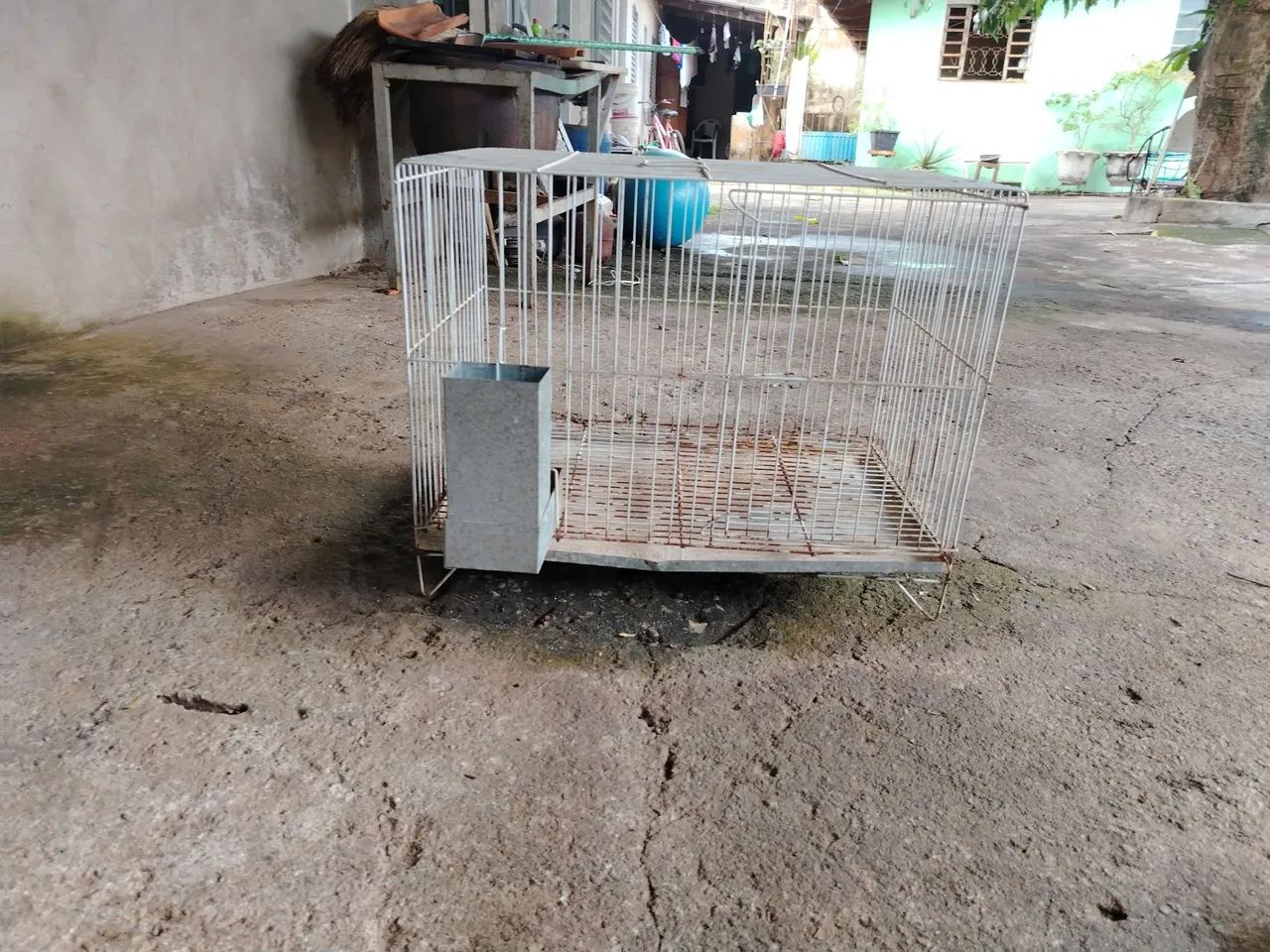 Gaiola para porquinho da Índia  - Foto 2