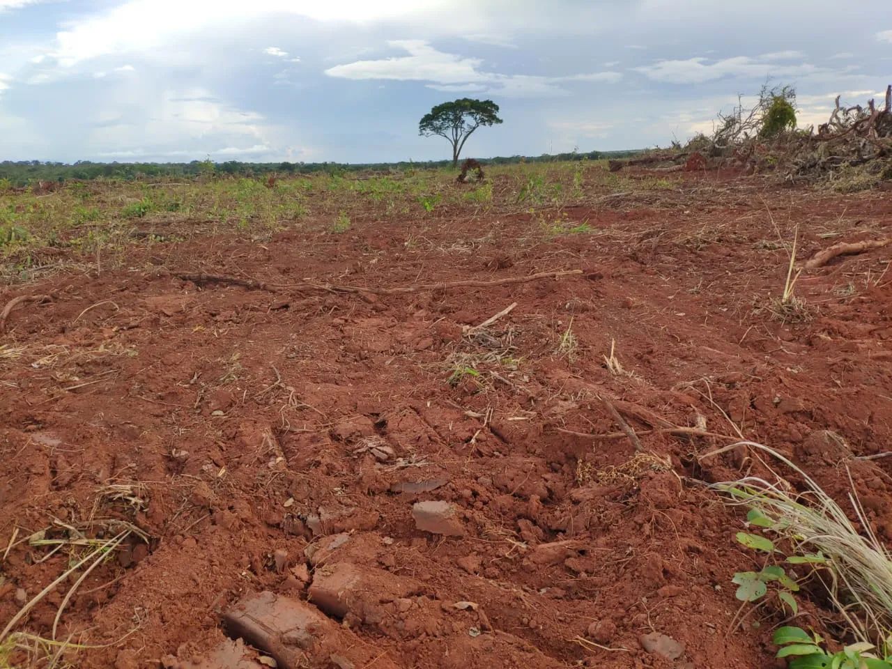 Vendo fazenda em Tocantins - Foto 4