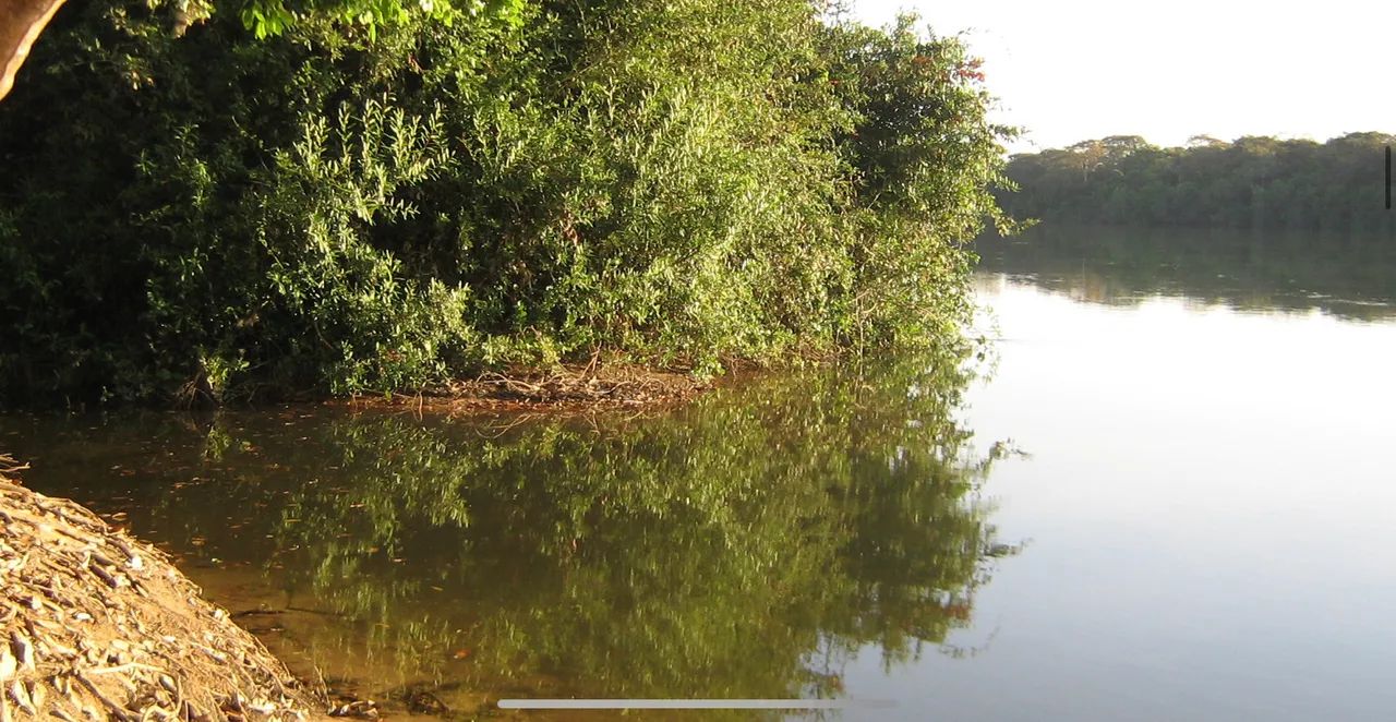 Pesqueiro / Lote / Rancho - Rio das mortes- cocalinho - Foto 3