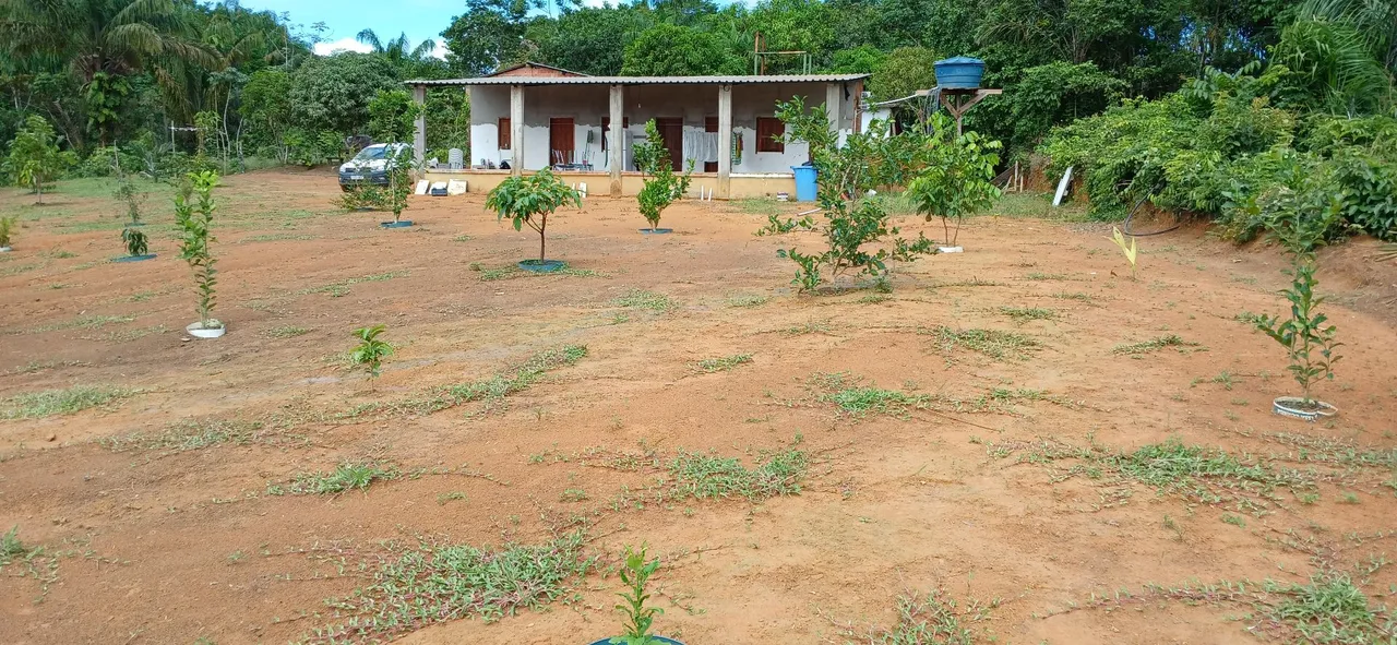 Chácara 50x50 no ramal do janauari no km 12 estrada iranduba