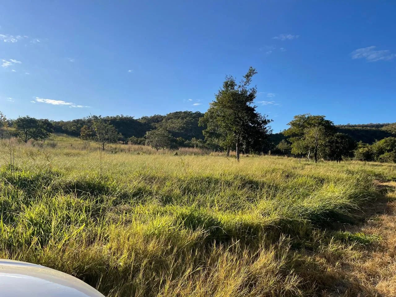 Fazenda em Itapuranga  - Foto 5