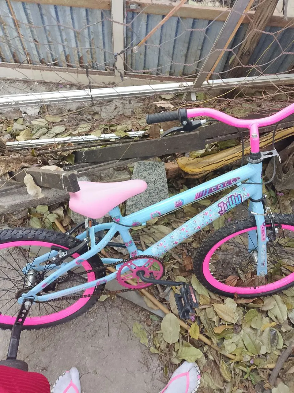 Bicicleta Infantil Rosa e Azul - Aro 20 Cozzi Jully