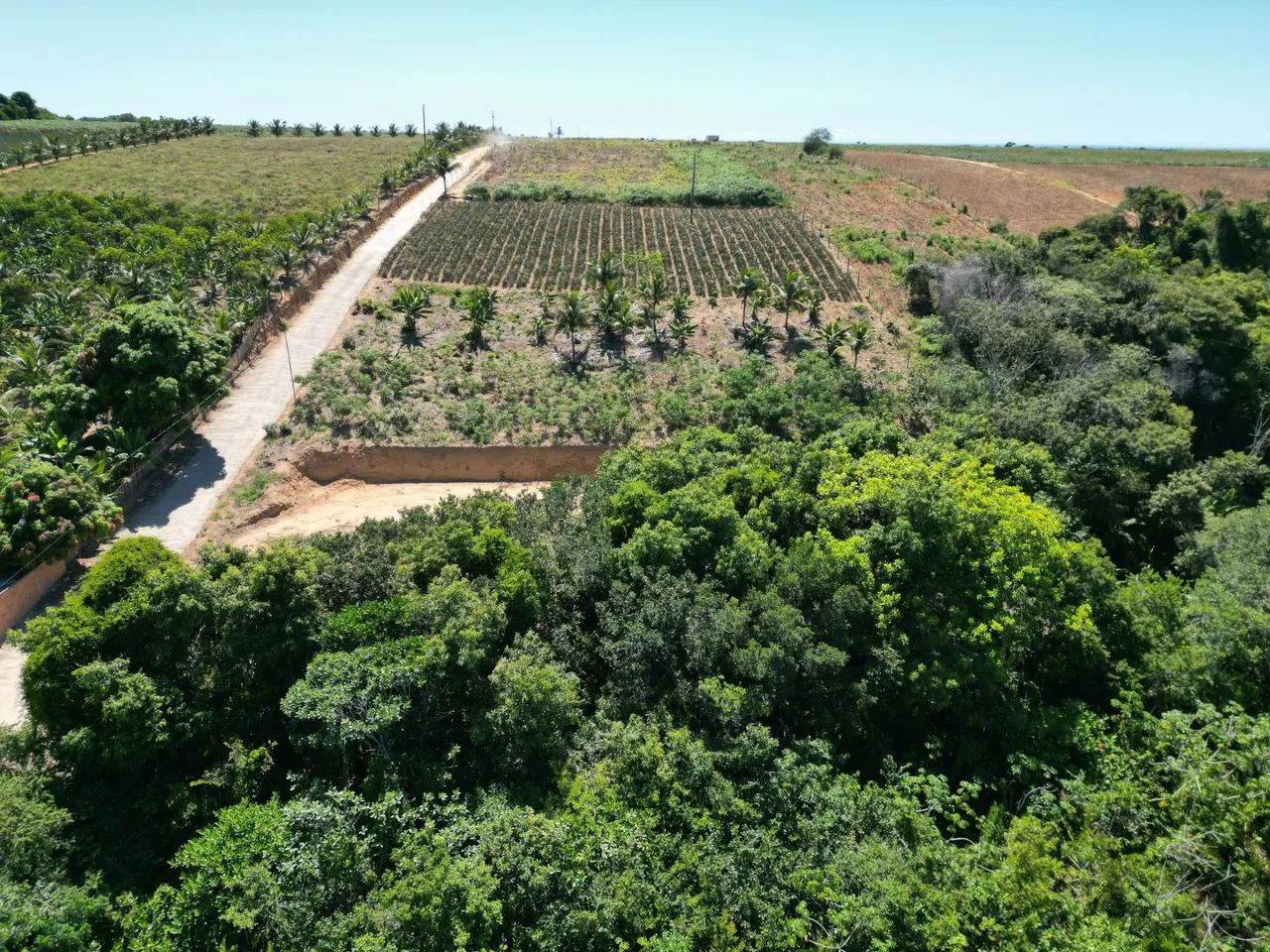 Propriedade à venda  - Foto 3