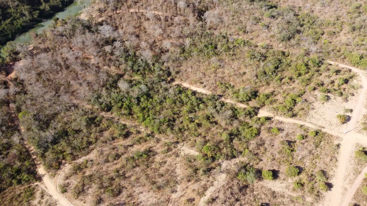 ' Terrenos 20.000 metros Beira Rio Verde Muito Peixe { - Foto 2