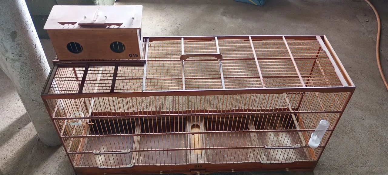 Gaiola de Madeira  - Foto 2