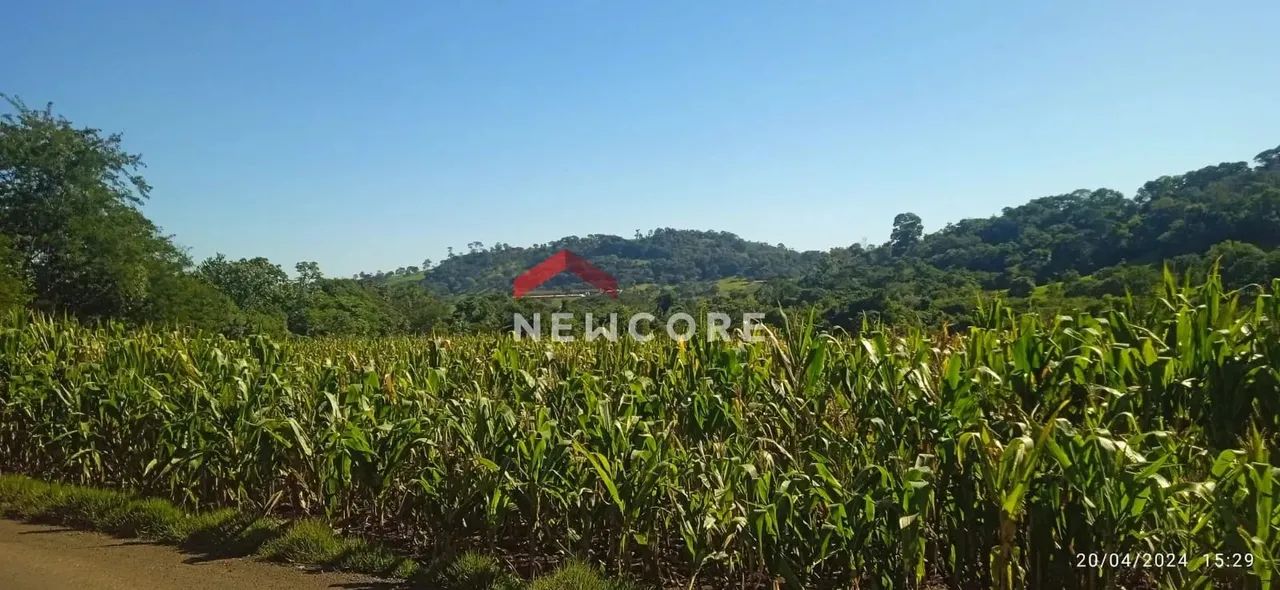 Chácara em estrada sem n° - Linha Sol e Ouro - Medianeira/PR - Foto 4