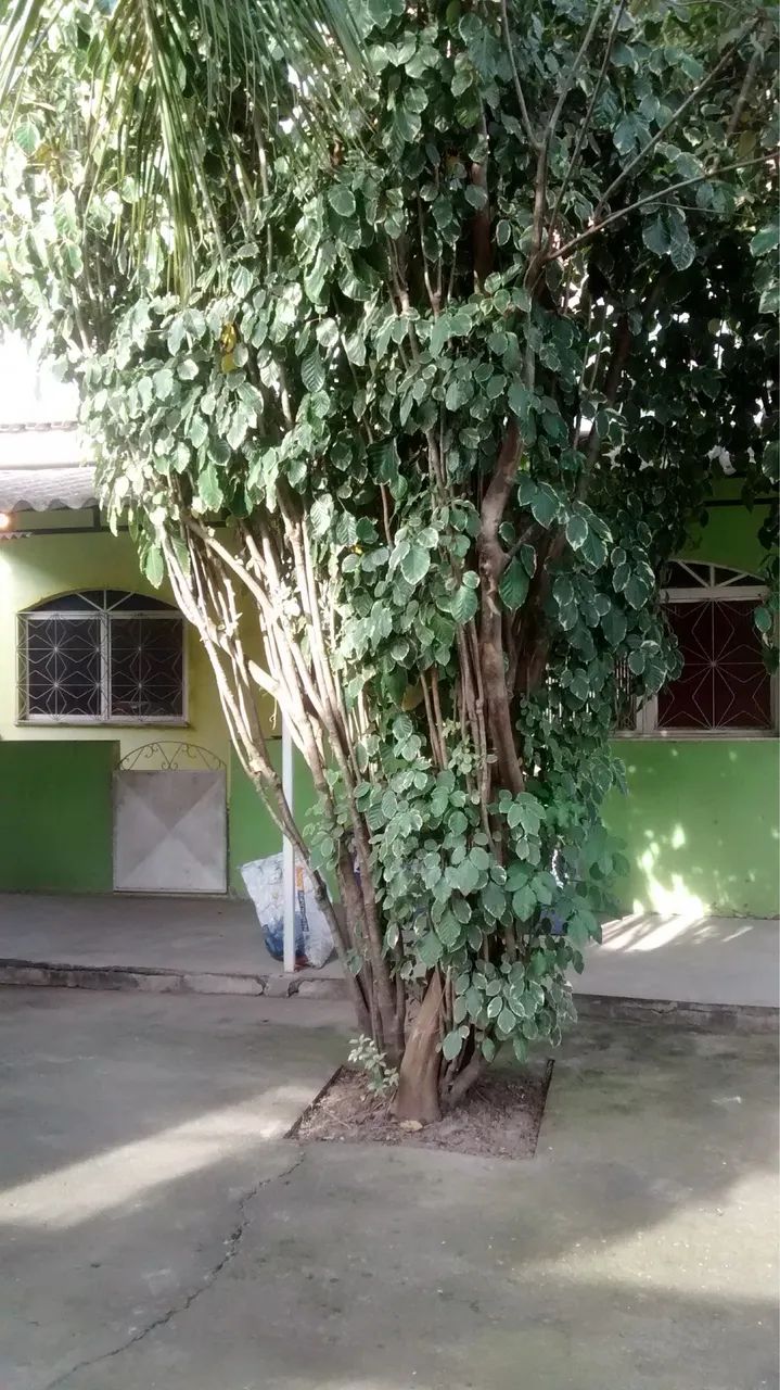 Primeira imagem do imóvel