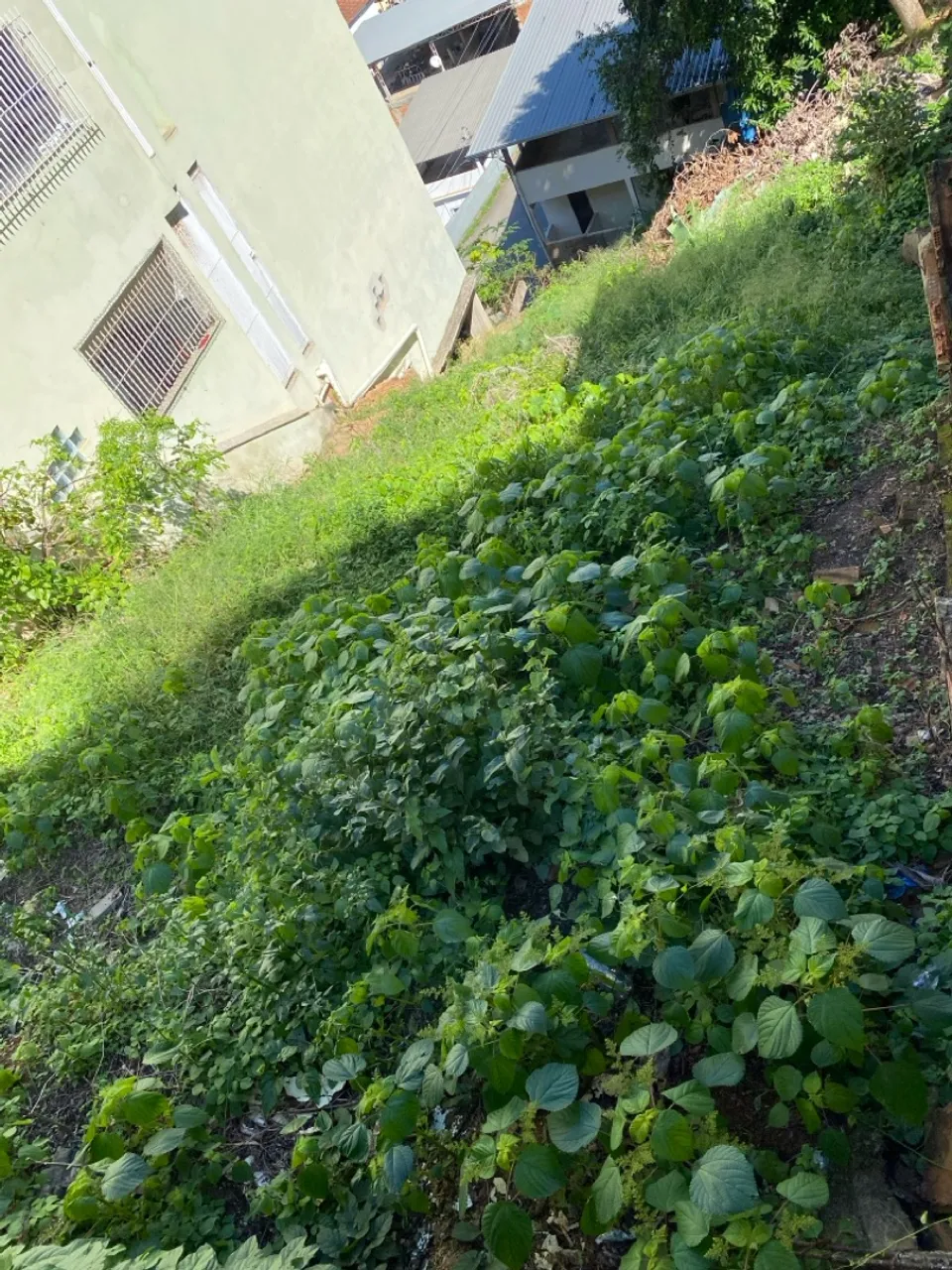 Terreno Aquidaban Cachoeiro De Itapemirim