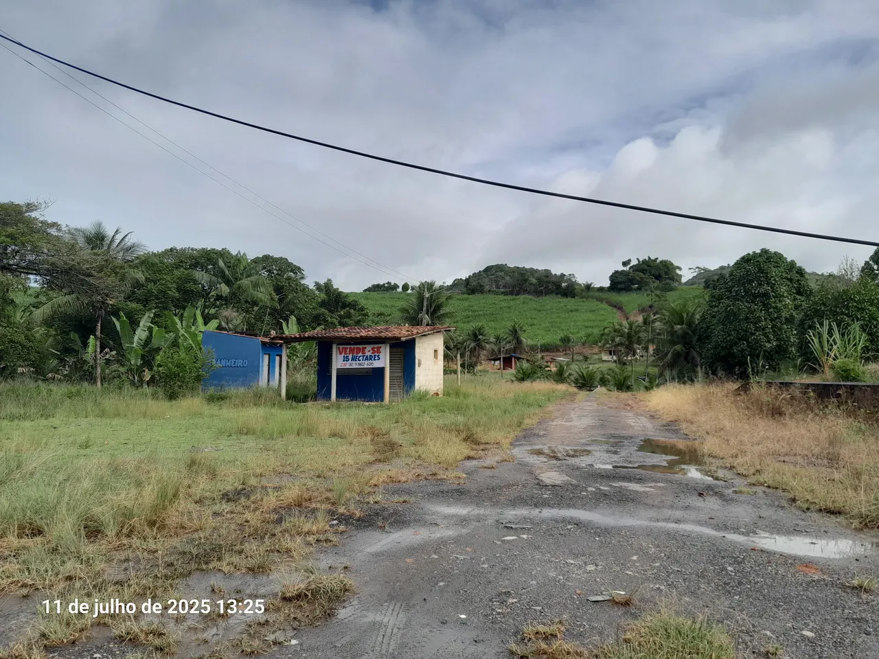 Sítio com 15 hectares