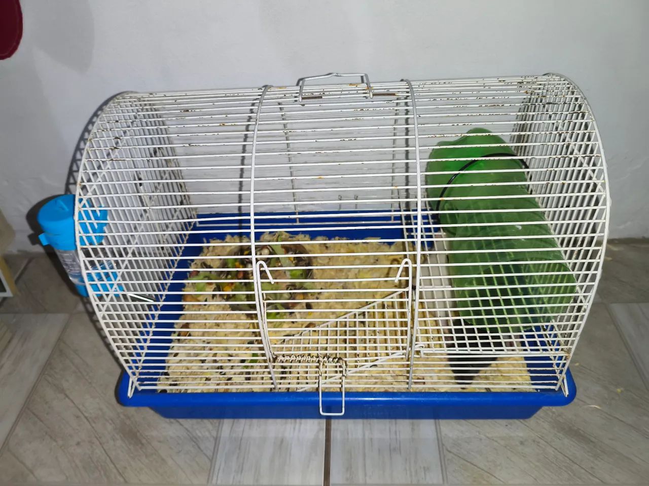 Rato twister  - Foto 3