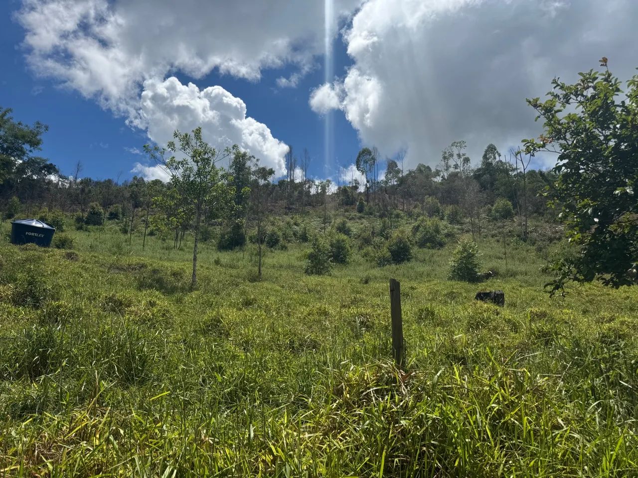 Terreno em área verde com vista espetacular