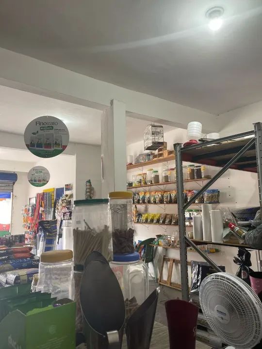 Ração para gatos castrados - Diversas marcas e tamanhos - Foto 3