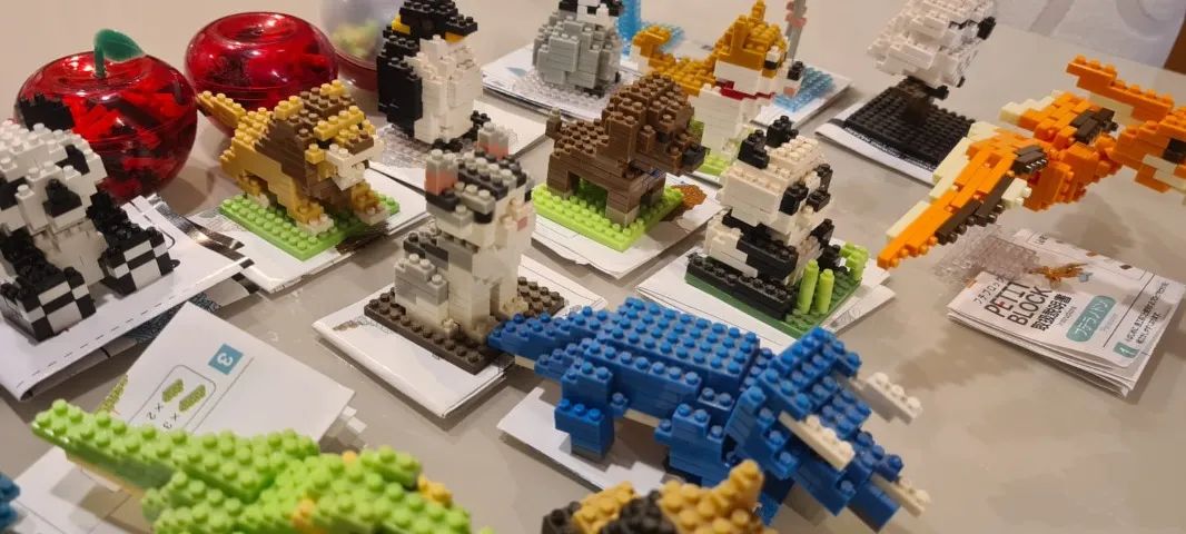 Coleção Petit Block - Foto 4