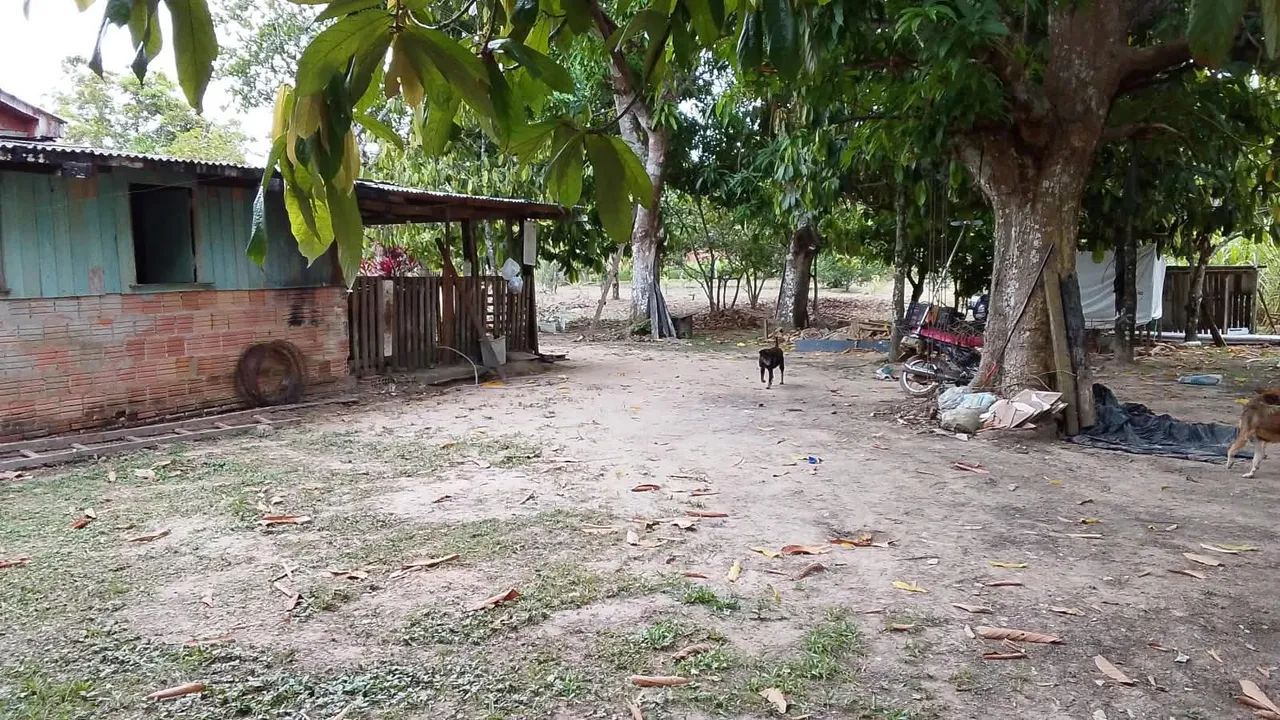 Vendo ou troco chácara por uma casa - Foto 3