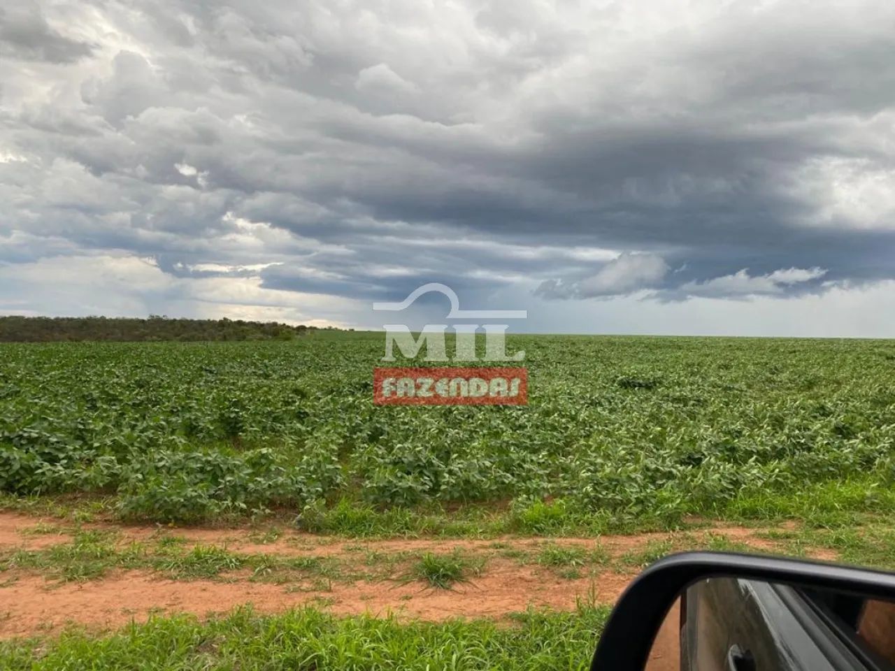 Fazenda Barata com Lavoura em Mambaí-GO. - Foto 5