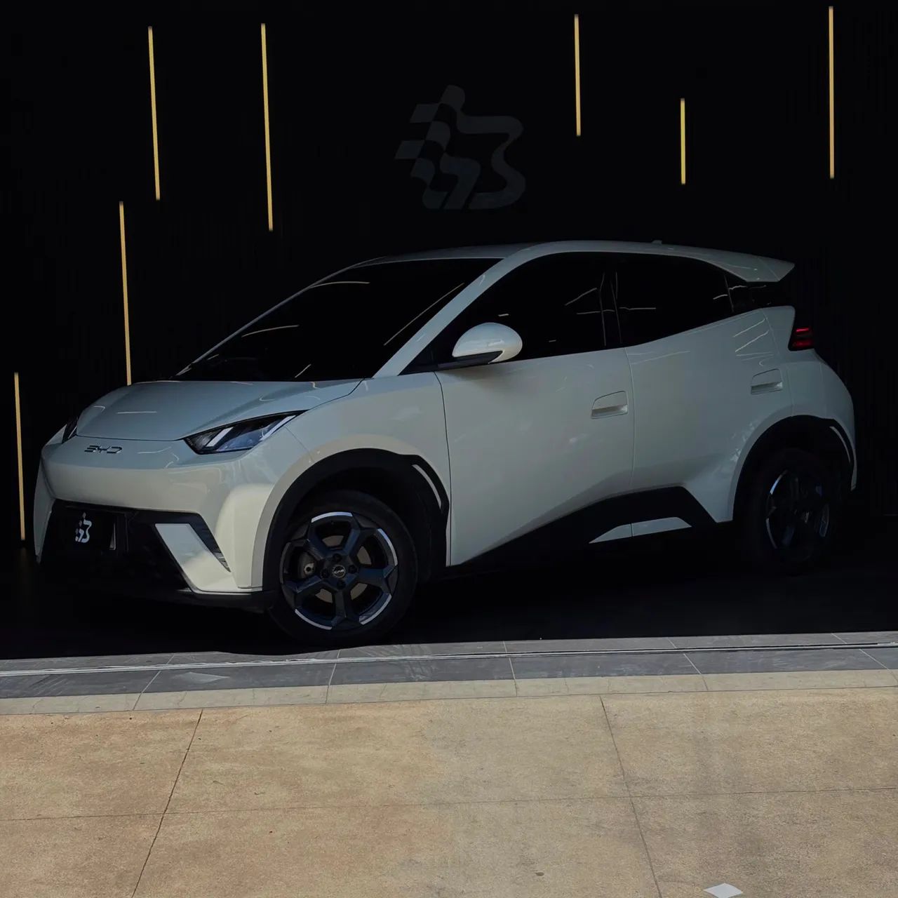 BYD Dolphin Mini (Elétrico) 2024