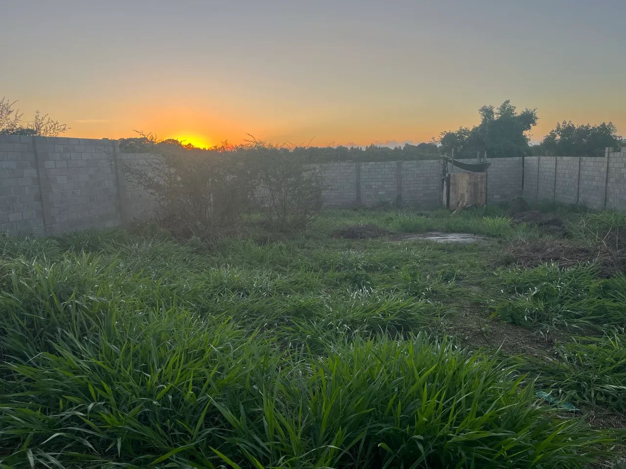 Terreno na gameleira  - Foto 4