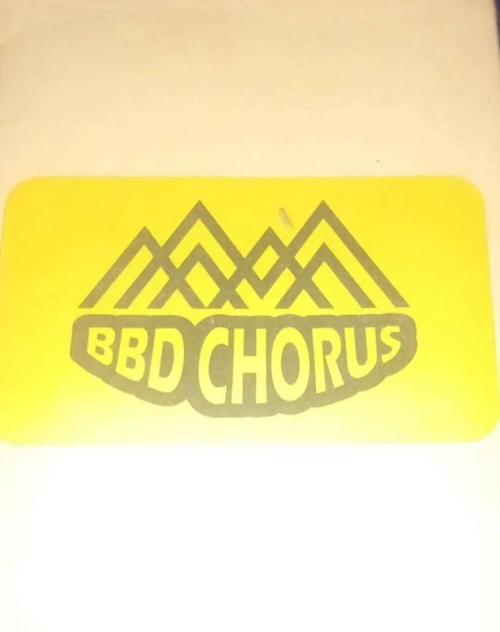 Pedal Twinote chorus  - Foto 2