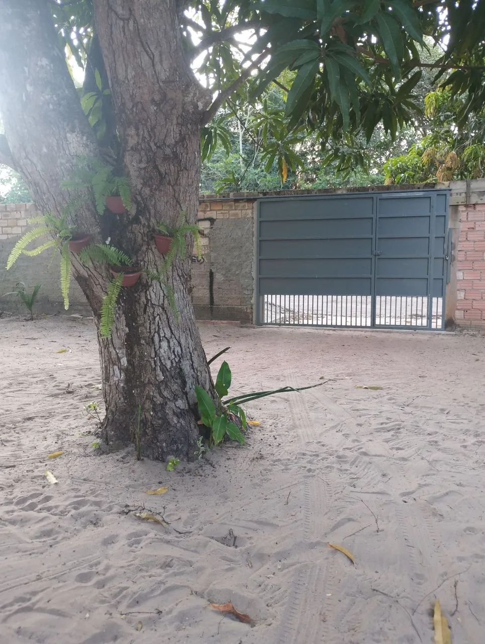 Vendo o imóvel no Campo Novo  - Foto 3
