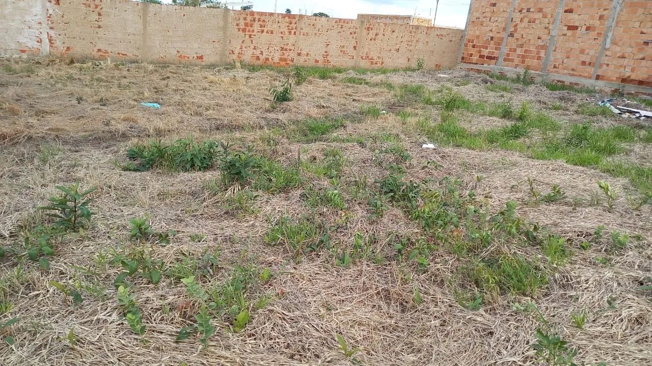 Foto - Brasília - Samambaia Norte (Samambaia)