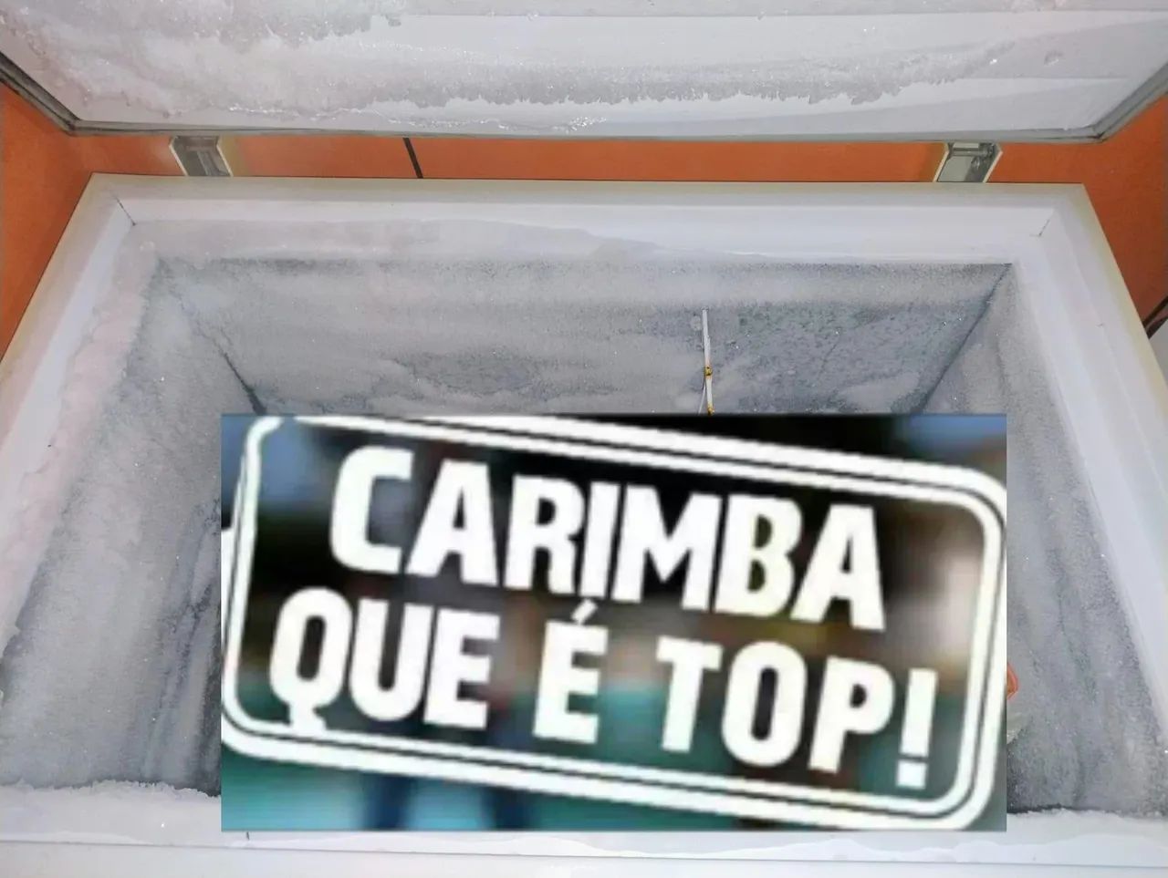 FREEZER  - Foto 3