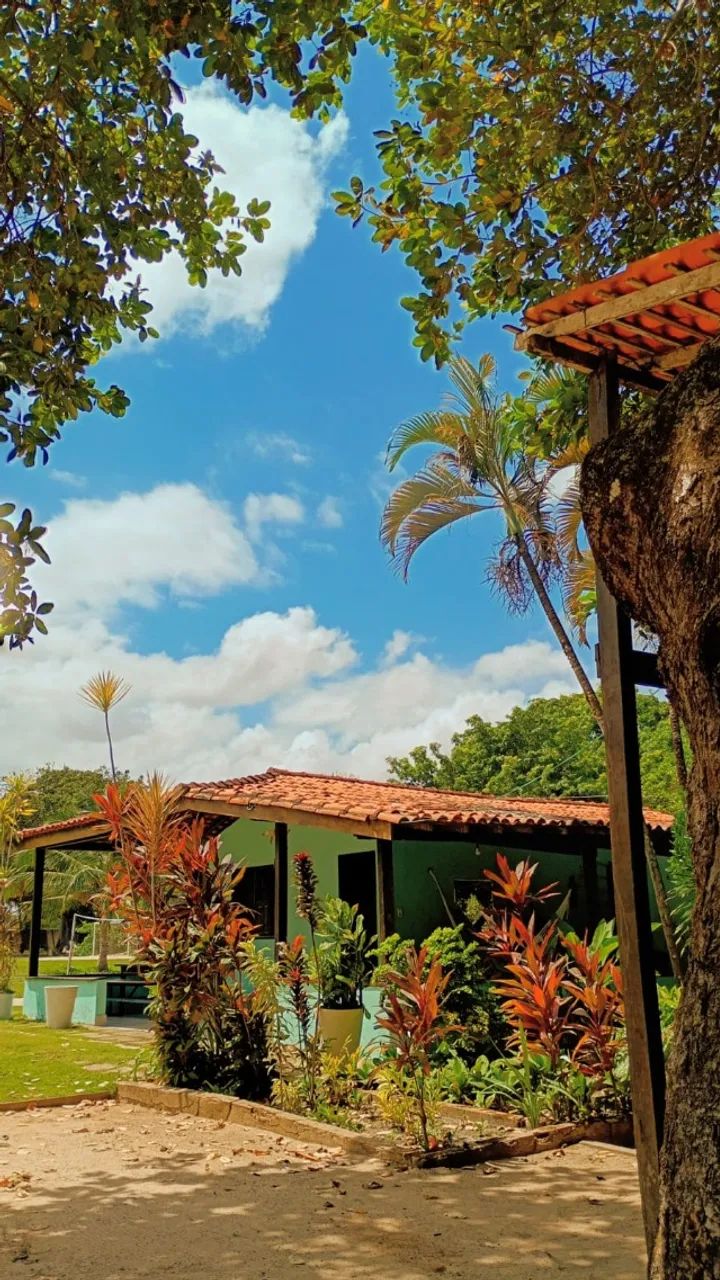 Foto - São Luís - Cohama