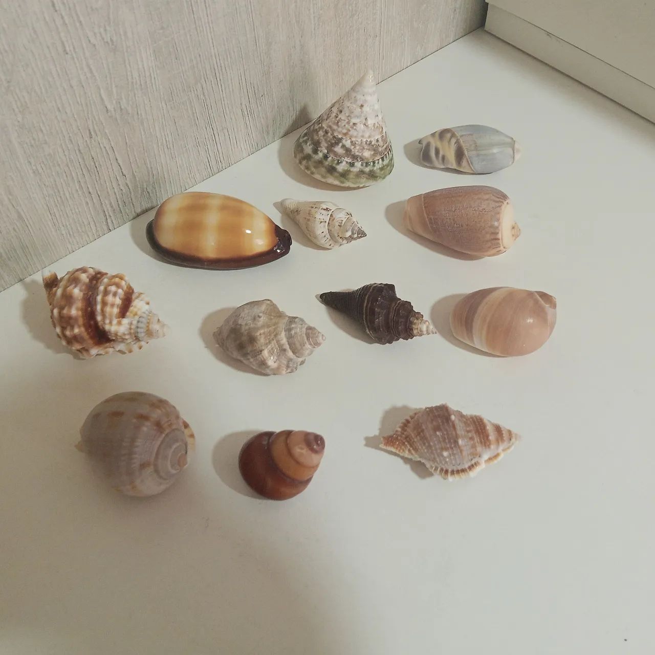 Enfeites para casa - Foto 4