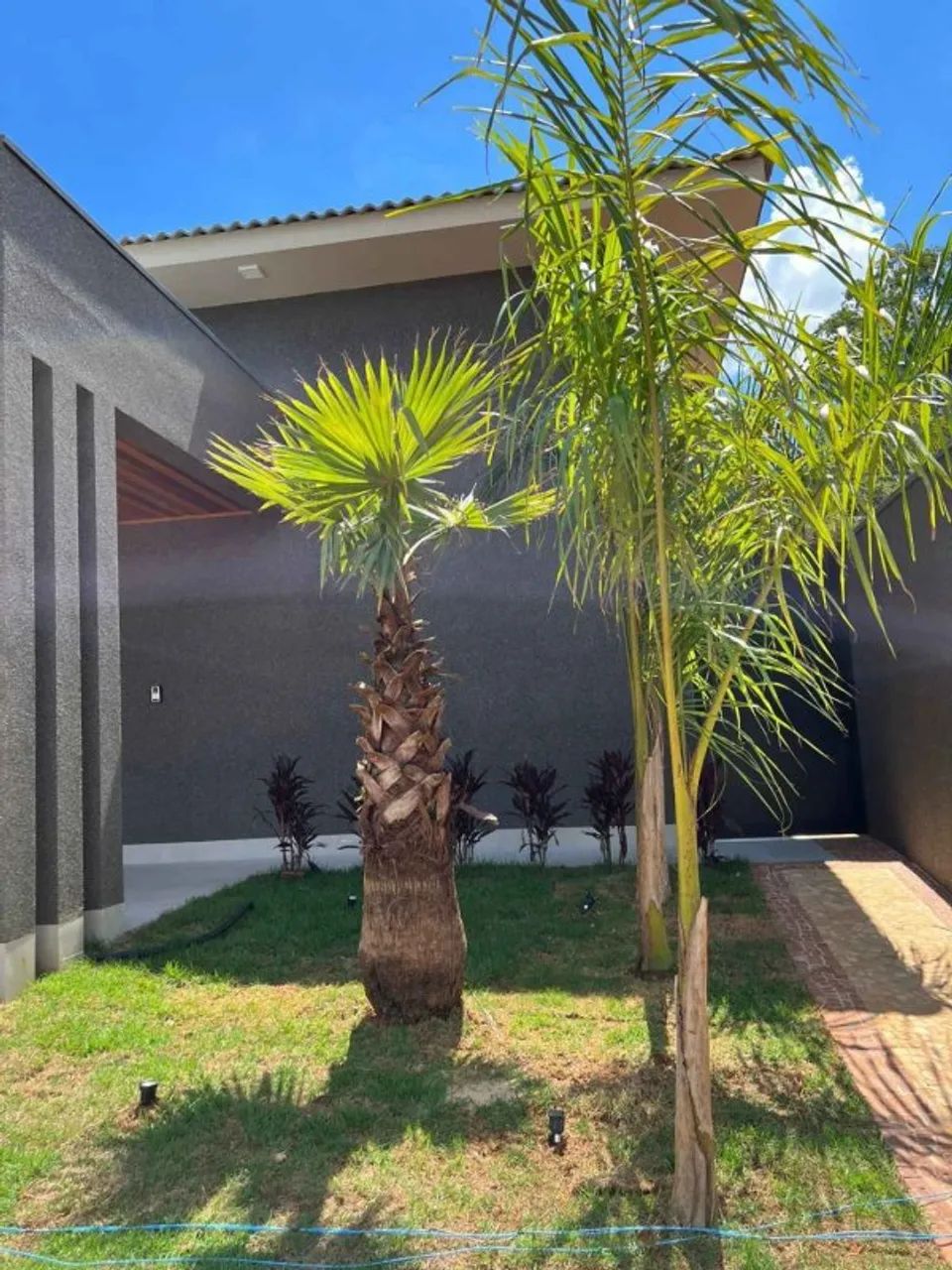 Linda Casa Térrea - Foto 2