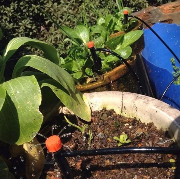 Instalação irrigação altomatizada  - Foto 2