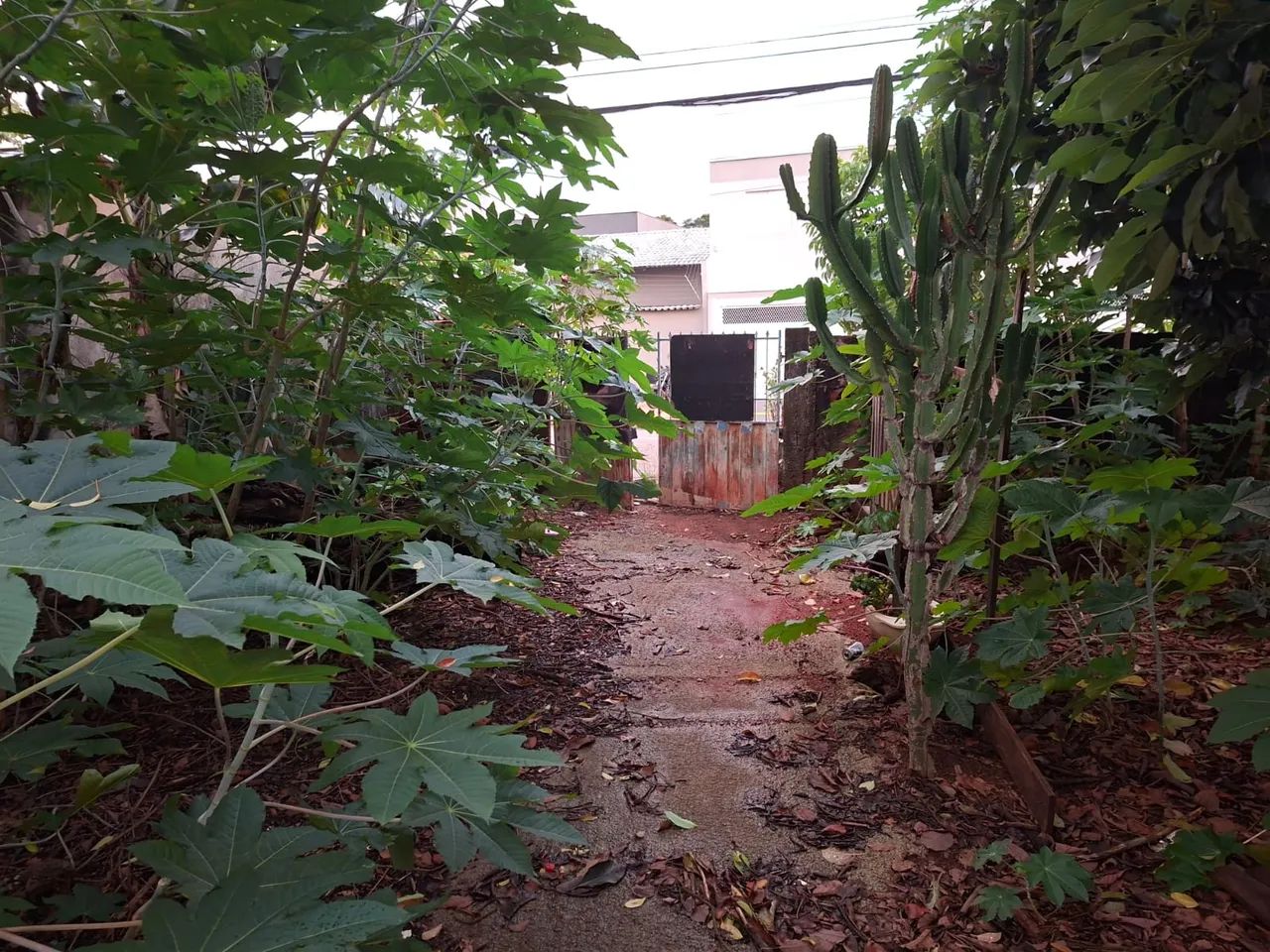 Lote - Jardim América - Foto 2