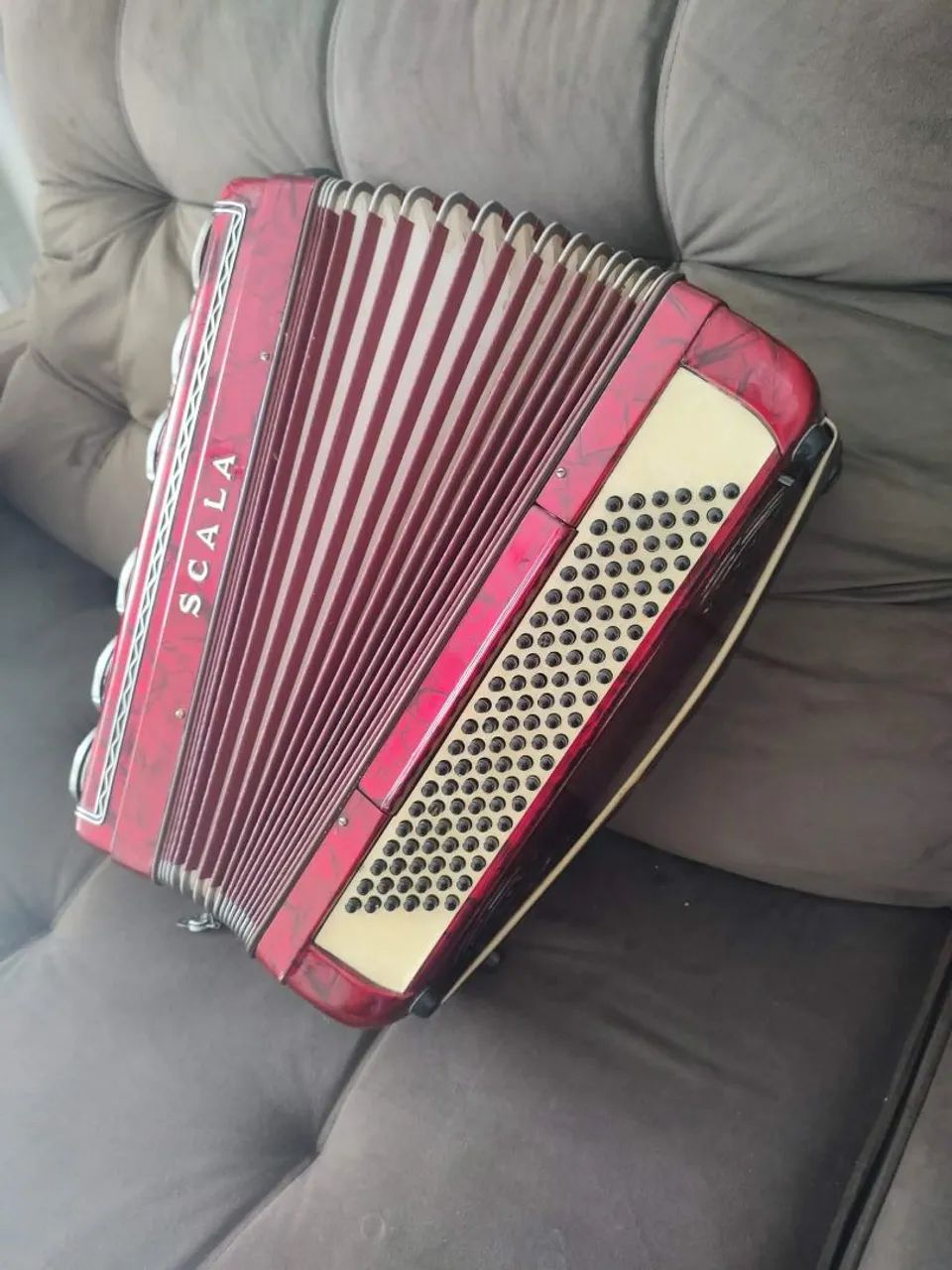 Acordeon  - Foto 3
