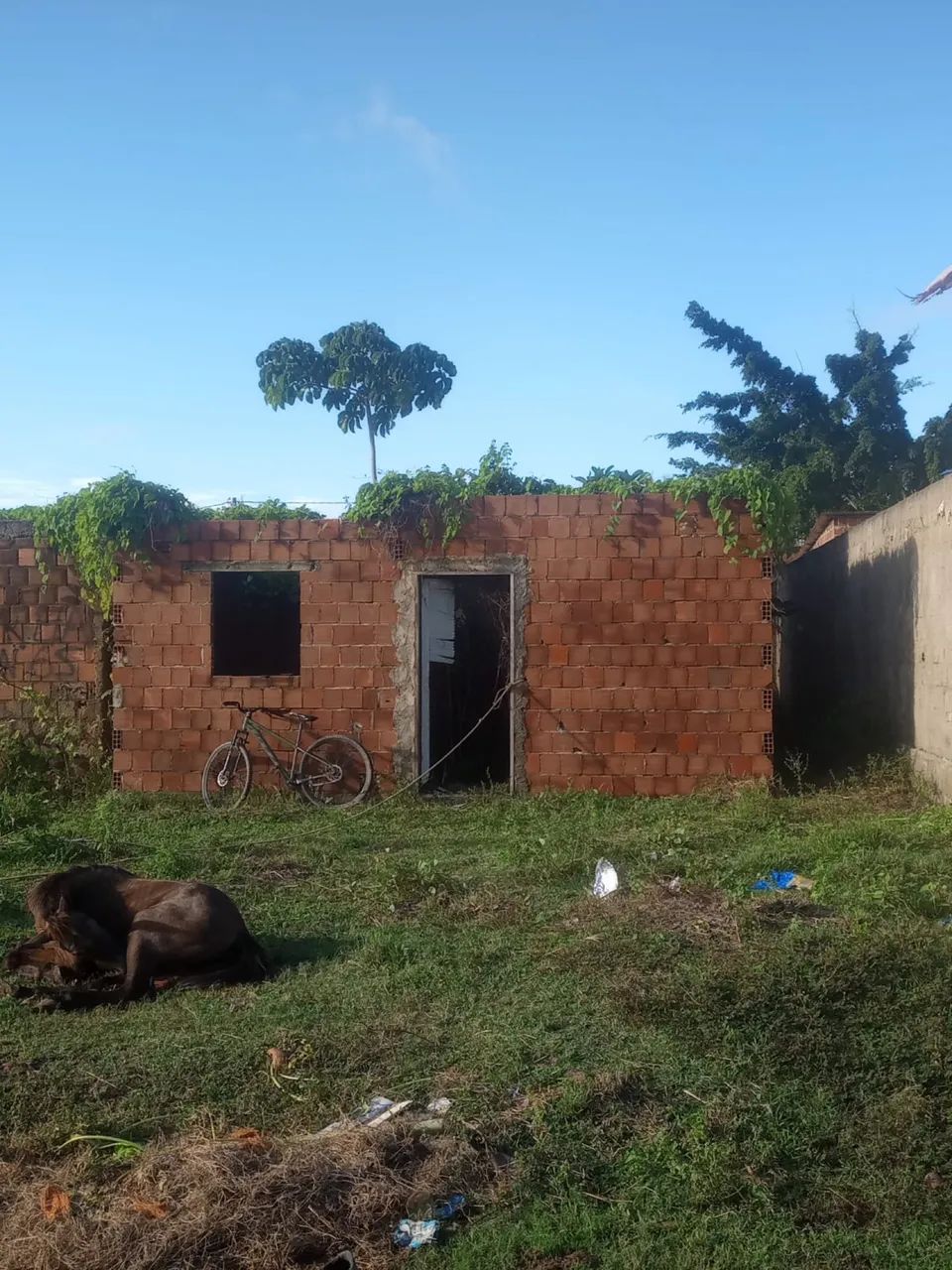 Foto - Paulista - Engenho Maranguape