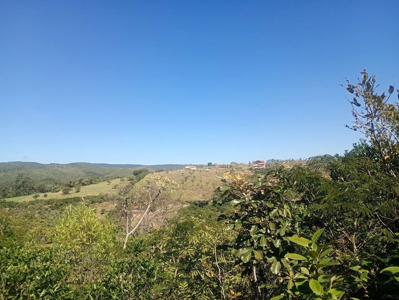 Terreno para chácara  1250 mts - Foto 4