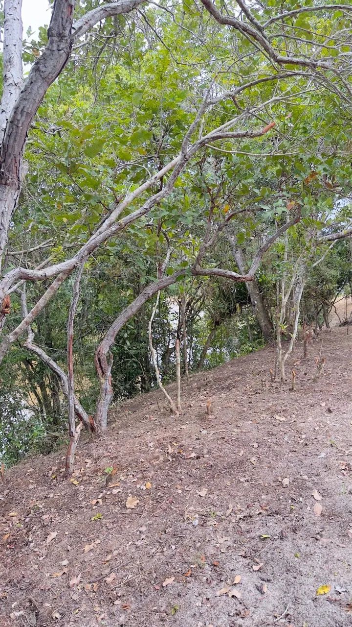 Terreno Tipo Sítio