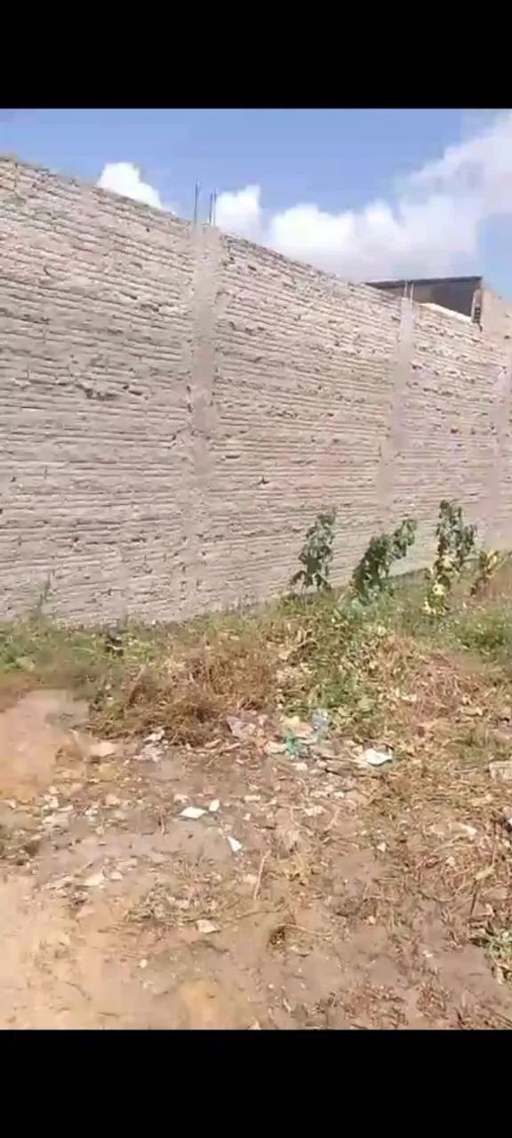 Terreno ilha da croa.Com registro. - Foto 5