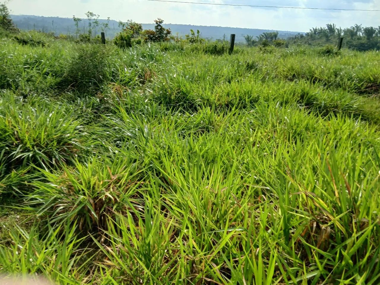 Documento está em trâmite  - Foto 2