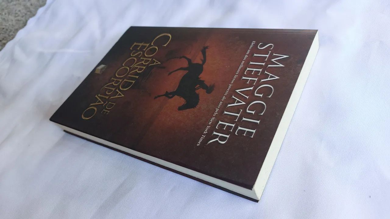 Livro A Corrida de Escorpião Maggie Stiefvater - Foto 3
