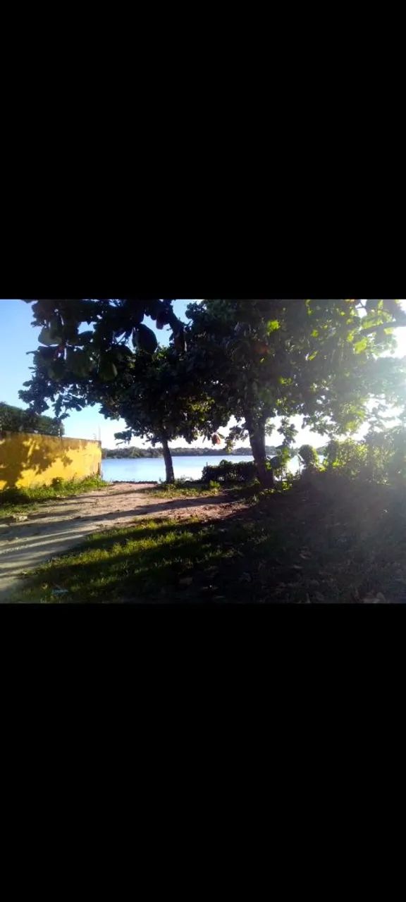 Vendo pedaço do paraíso muito verde!