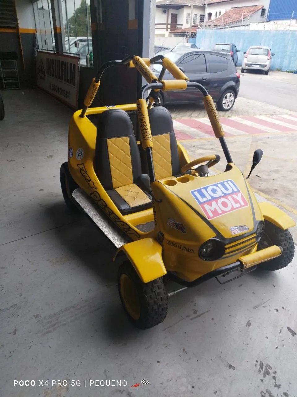 fapinha  Fox desert xingu