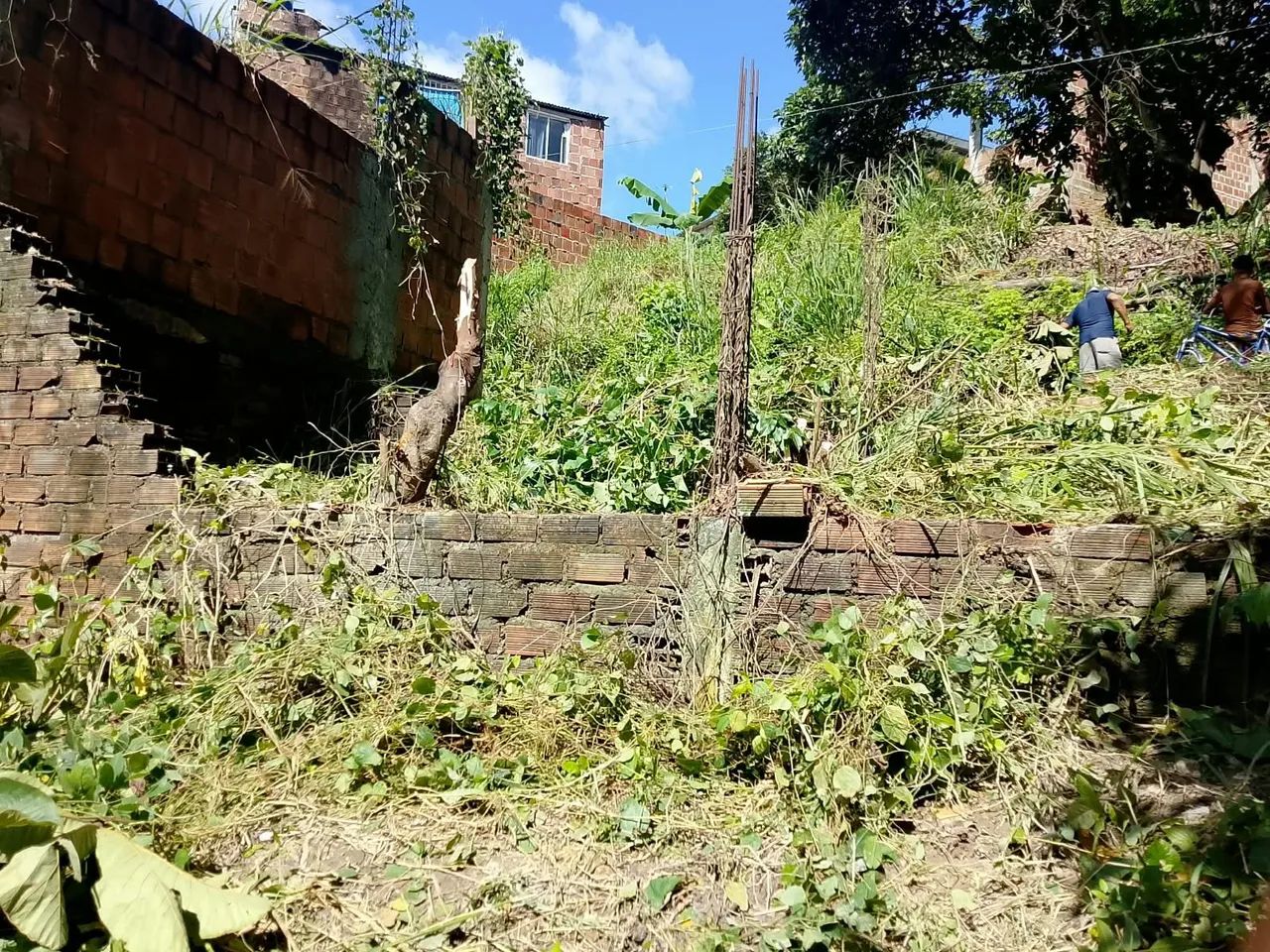 Terreno  - Foto 2