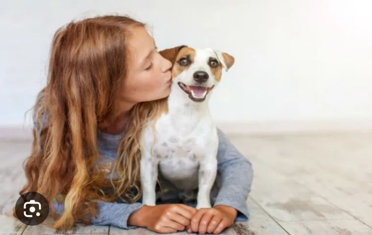 Dog Walker passeador de caes