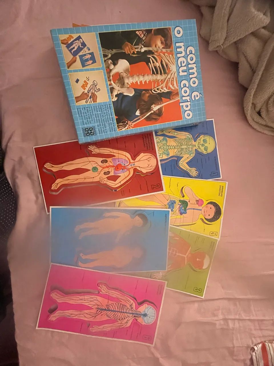  Como é o meu corpo? jogo educativo dos anos 80  - Foto 3